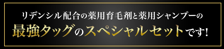 最強タッグのスペシャルセットです。